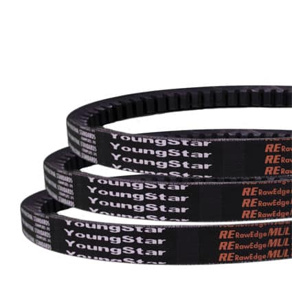 یانگ-استار--تسمه-بازار-ایران-2